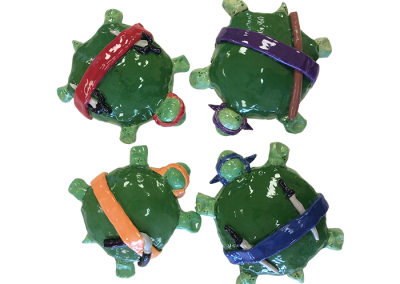 Ninja Turtle