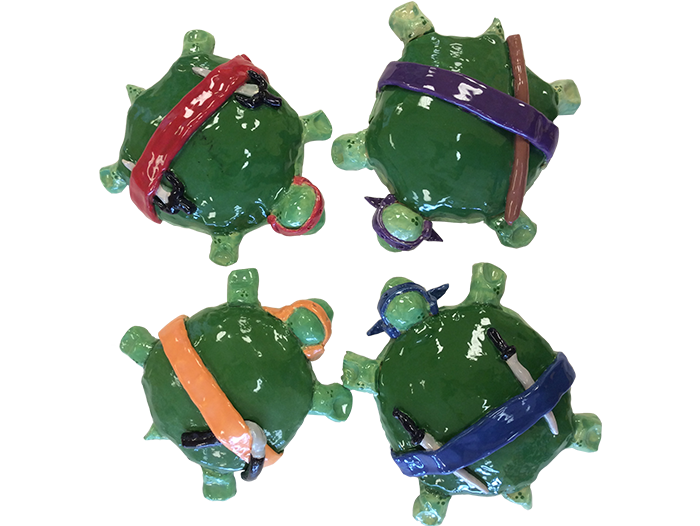 Ninja-Turtle