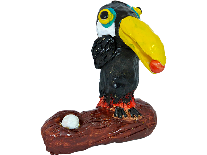 Toucan on a Branch