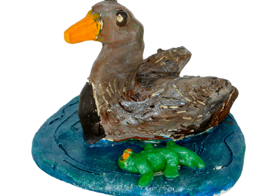 Wetlands Duck