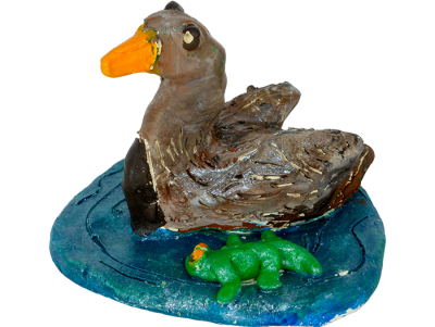 Wetlands-Duck