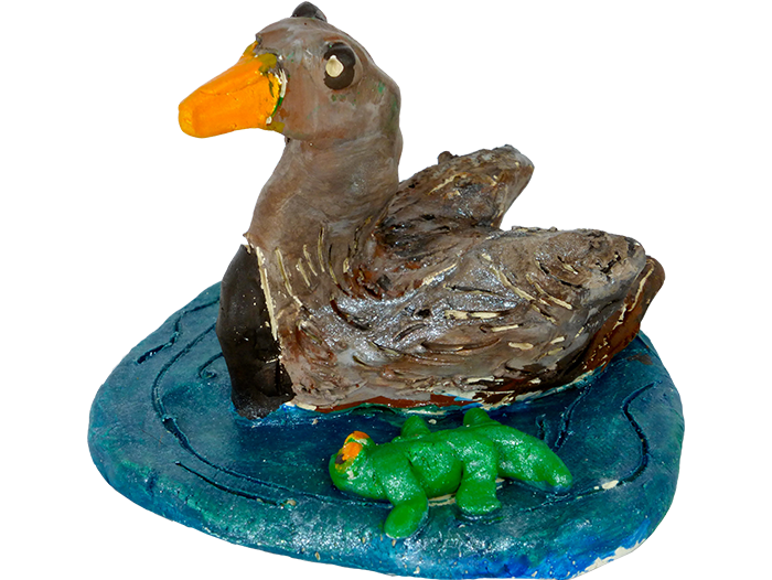 Wetlands-Duck