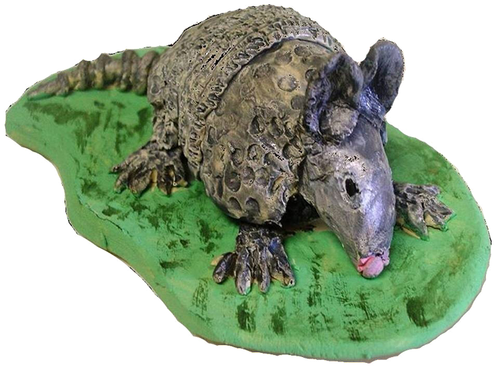 Armadillo