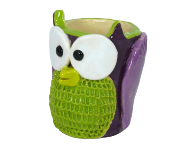 Owl-Cup
