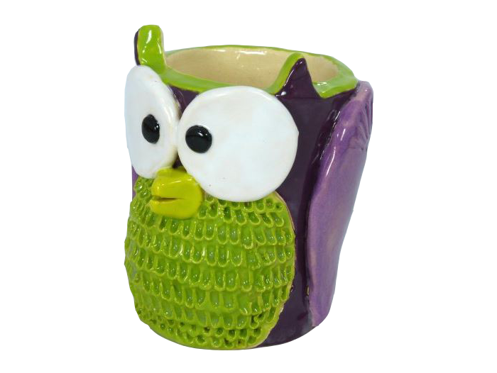 Owl-Cup