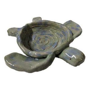 Sea Turtle Bowl